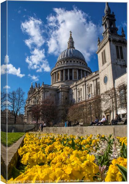 St. Pauls Cathedral in the Spring, in London, UK Canvas Print by Chris Dorney