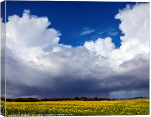 Clouds and Distant Rain Over a Field of Rapeseed in Norfolk, UK Canvas Print by Chris Dorney