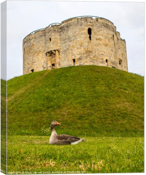 Cliffords Tower in York, UK Canvas Print by Chris Dorney