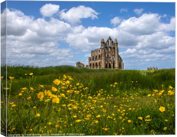 Whitby Abbey in North Yorkshire, UK Canvas Print by Chris Dorney