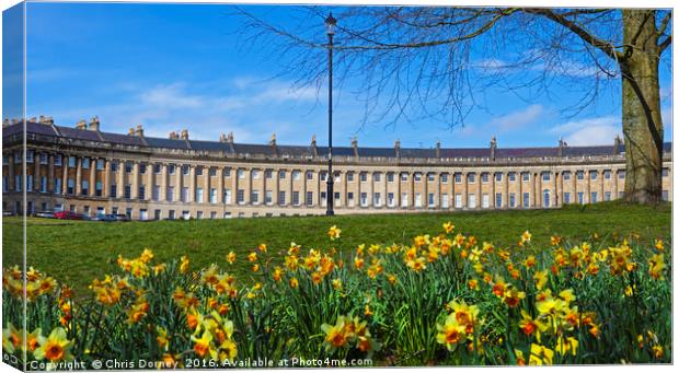 Royal Crescent at Spring Canvas Print by Chris Dorney