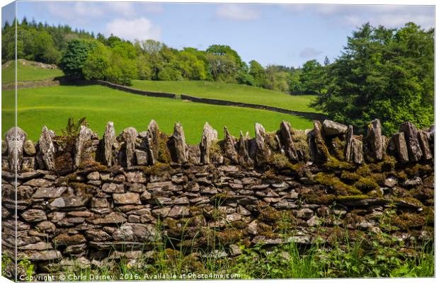 Countryside View in Cumbria Canvas Print by Chris Dorney