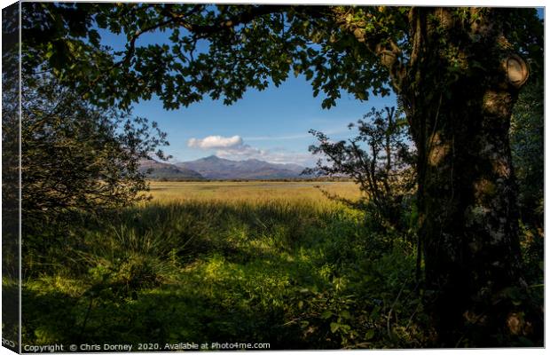 View of Snowdonia from Traeth Glaslyn Nature Reser Canvas Print by Chris Dorney