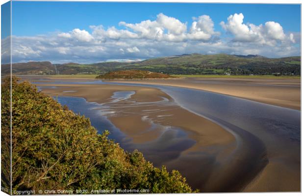 Dwyryd Estuary Viewed from Portmeirion in North Wa Canvas Print by Chris Dorney