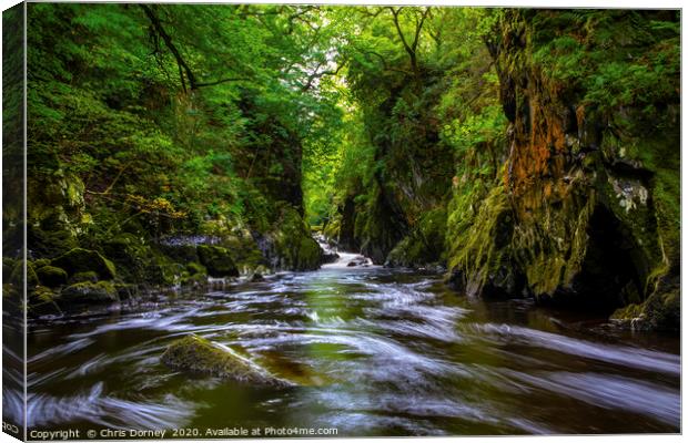 The Fairy Glen in Betws-y-Coed, Wales Canvas Print by Chris Dorney