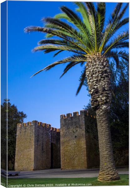 Sao Goncalo Gate in Lagos Portugal Canvas Print by Chris Dorney