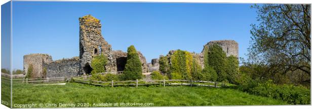 Pevensey Castle in East Sussex Canvas Print by Chris Dorney