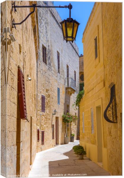 Pretty Narrow Street in Mdina Canvas Print by Chris Dorney