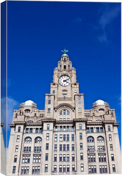 Royal Liver Building in Liverpool Canvas Print by Chris Dorney