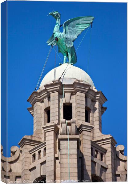 Liver Bird Perched on the Royal Liver Building Canvas Print by Chris Dorney