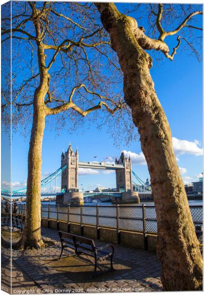 View of Tower Bridge from the Thames Path in London Canvas Print by Chris Dorney