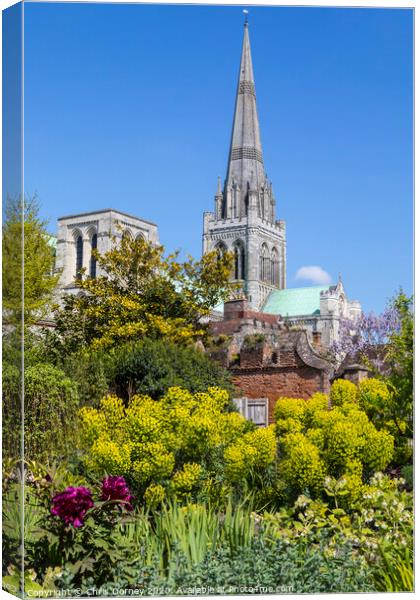 Chichester Cathedral in Sussex Canvas Print by Chris Dorney