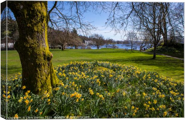 Lake Windermere at Spring Canvas Print by Chris Dorney
