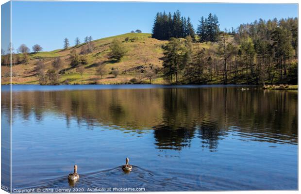 Tarn Hows in the Lake District Canvas Print by Chris Dorney
