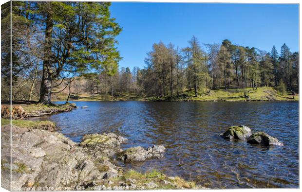 Tarn Hows in the Lake District Canvas Print by Chris Dorney