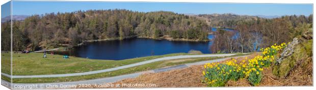 Tarn Hows at Spring in the Lake District Canvas Print by Chris Dorney