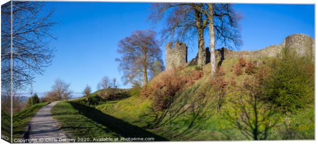 Kendal Castle in Cumbria Canvas Print by Chris Dorney