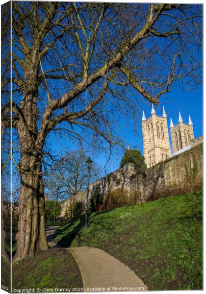 Lincoln Cathedral viewed from the Bishops Palace Canvas Print by Chris Dorney