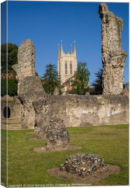 Bury St. Edmunds Abbey Remains and St Edmundsbury Cathedral Canvas Print by Chris Dorney