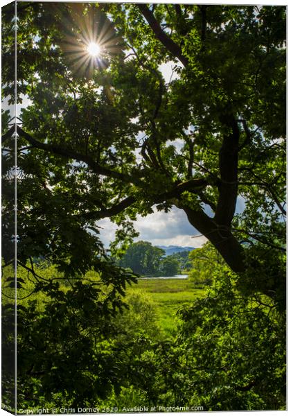 Countryside View in Ambleside Canvas Print by Chris Dorney