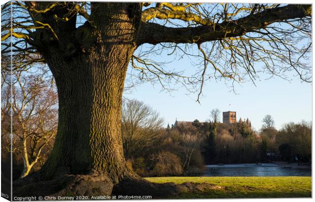 St. Albans Cathedral Viewed from Verulamium Park Canvas Print by Chris Dorney