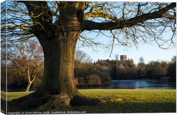 St. Albans Cathedral Viewed from Verulamium Park Canvas Print by Chris Dorney