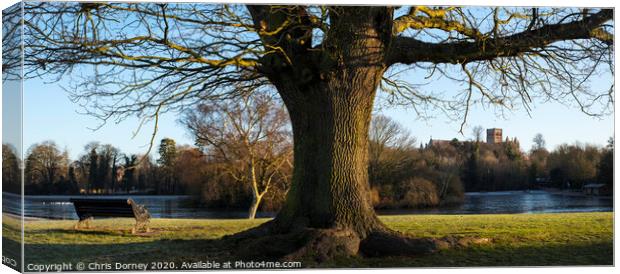 St Albans in England Canvas Print by Chris Dorney