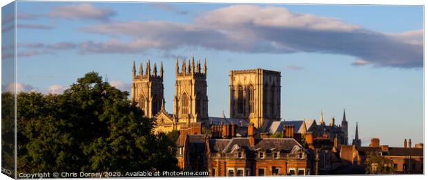 View of York Minster Canvas Print by Chris Dorney