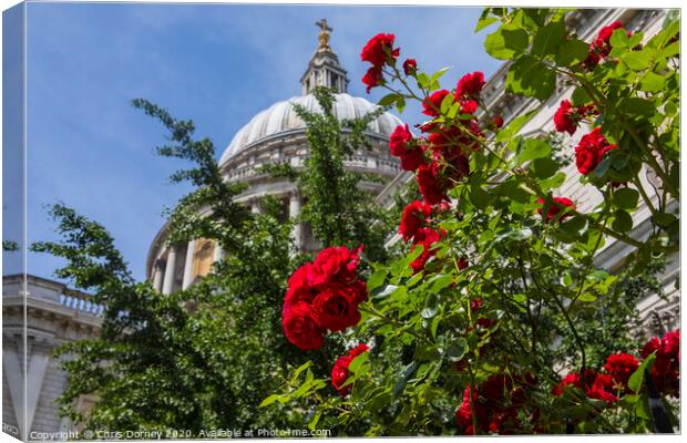 Roses at St. Pauls Cathedral in London Canvas Print by Chris Dorney