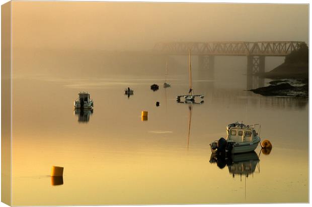 Misty morning on the Camel Trail Canvas Print by Lindsay Philp