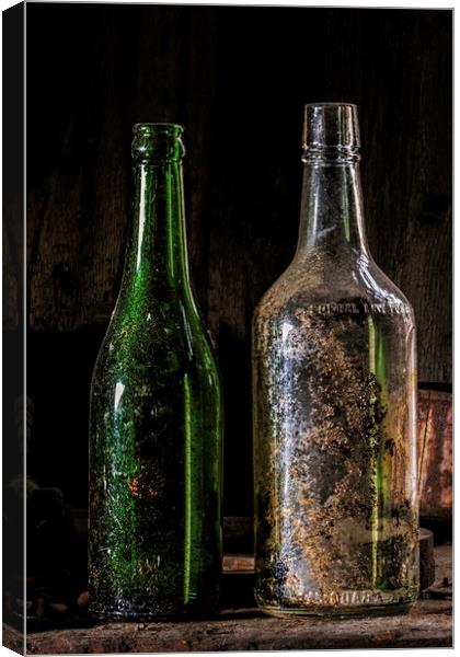 Old Bottles Canvas Print by Fred Denner