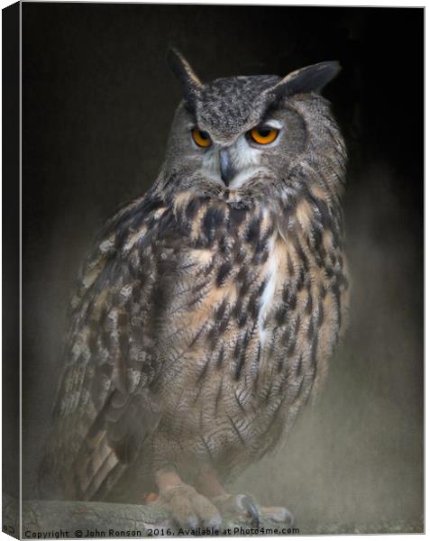 Eurasian Eagle Owl Canvas Print by JOHN RONSON