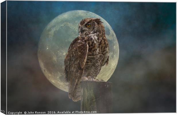 The Owl & the Moon Canvas Print by JOHN RONSON