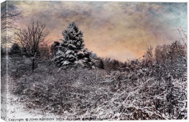 Winter's Glow Canvas Print by JOHN RONSON