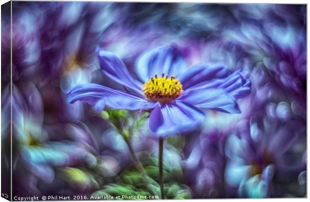 Images from a cosmic garden No3 Canvas Print by Phil Hart