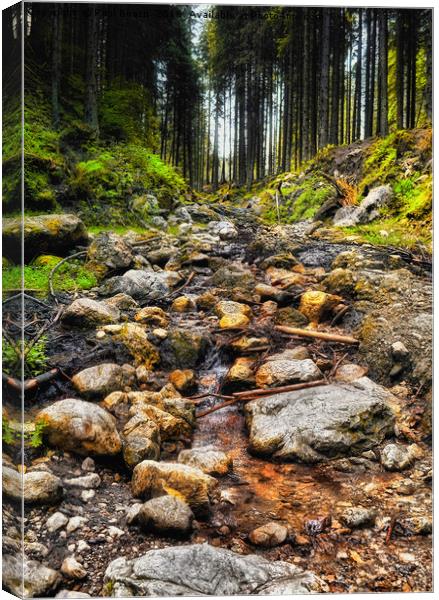 flowing stream in the forest Canvas Print by Paul Boazu