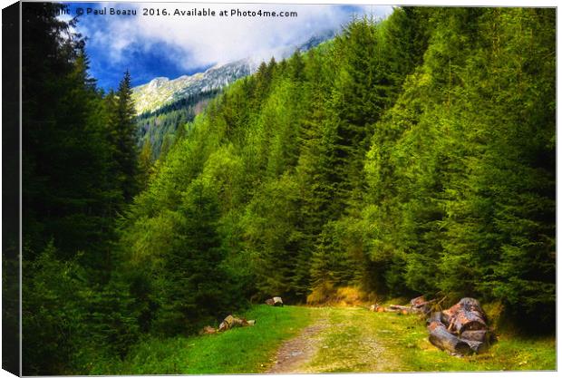 footpath on foothills Canvas Print by Paul Boazu