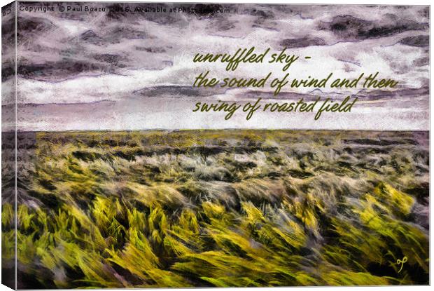 Fields swing  Canvas Print by Paul Boazu