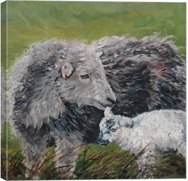 Herdwick Sheep and lamb Oil Painting Canvas Print by Linda Lyon