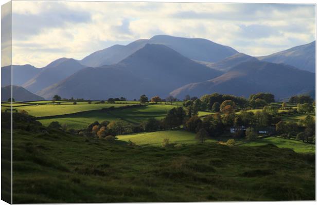 Causey Pike from Near Tewet Tarn Canvas Print by Linda Lyon