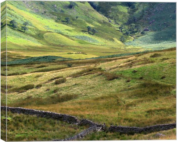  Bannerdale Valley Canvas Print by Linda Lyon