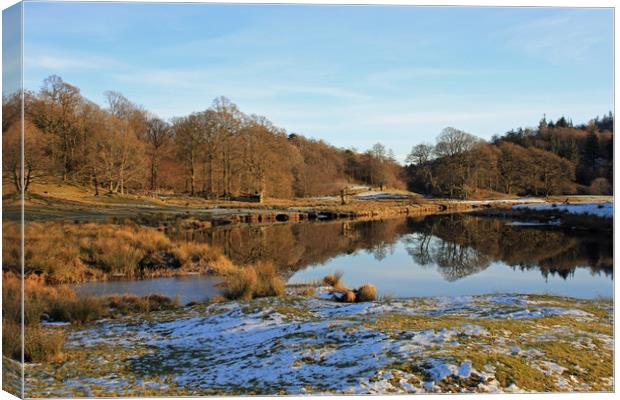 The River Brathay in Winter, near Elterwater Canvas Print by Linda Lyon