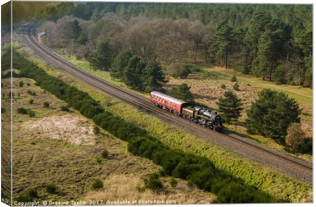 British Rail steam engine in the forest Canvas Print by Graeme Taplin Landscape Photography