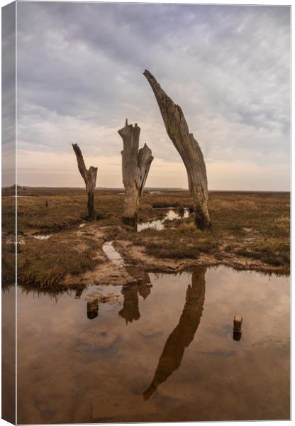 Thornham Staithe posts Canvas Print by Graeme Taplin Landscape Photography