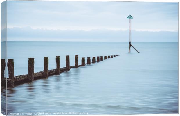 Groynes at high tide on East Wittering beach Canvas Print by Milton Cogheil