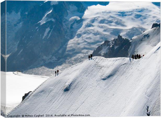 Mont Blanc, Chamonix Canvas Print by Milton Cogheil