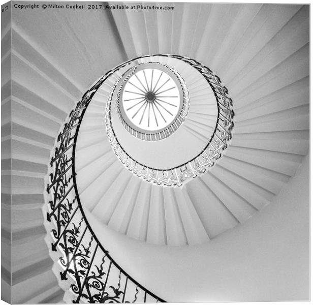 The Tulip Spiral Stairs - Black and White Canvas Print by Milton Cogheil