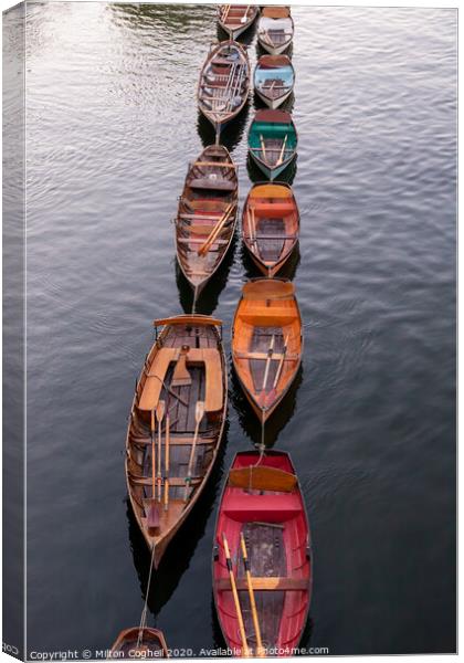 Rows of rows Canvas Print by Milton Cogheil