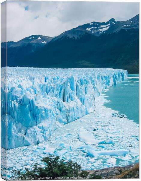 Perito Moreno Glacier Canvas Print by Milton Cogheil