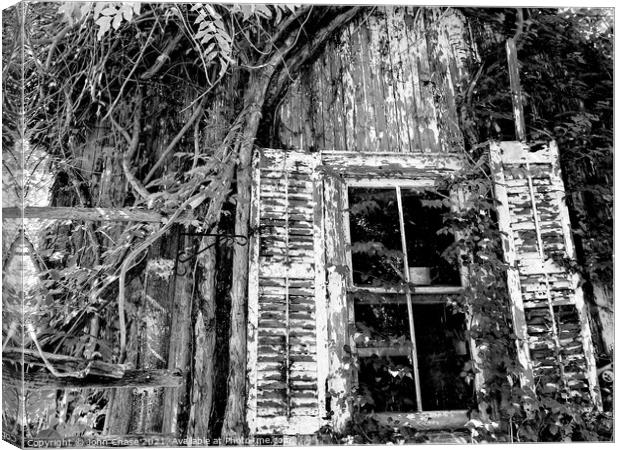 Overgrown Shed and Window Canvas Print by John Chase